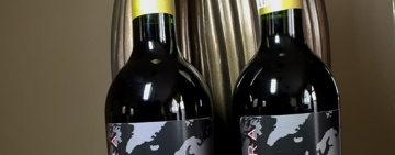 “From Mofaya to Sub-Sahara Wines”