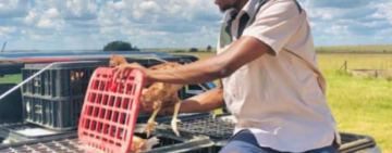 Youth in Agriculture