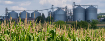 Boosting food security in the North West Province